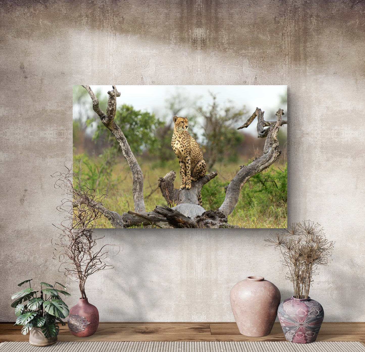 Cheetah Silk Poster