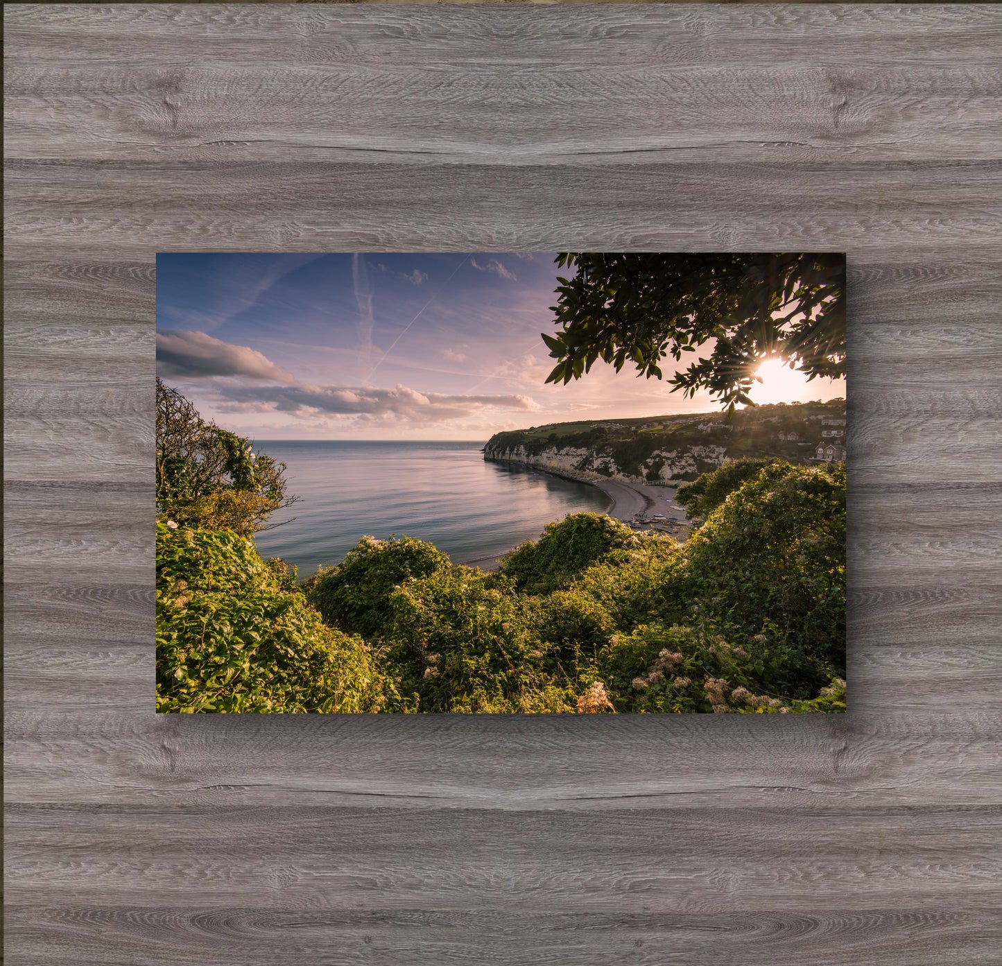 Beer Devon Canvas Print