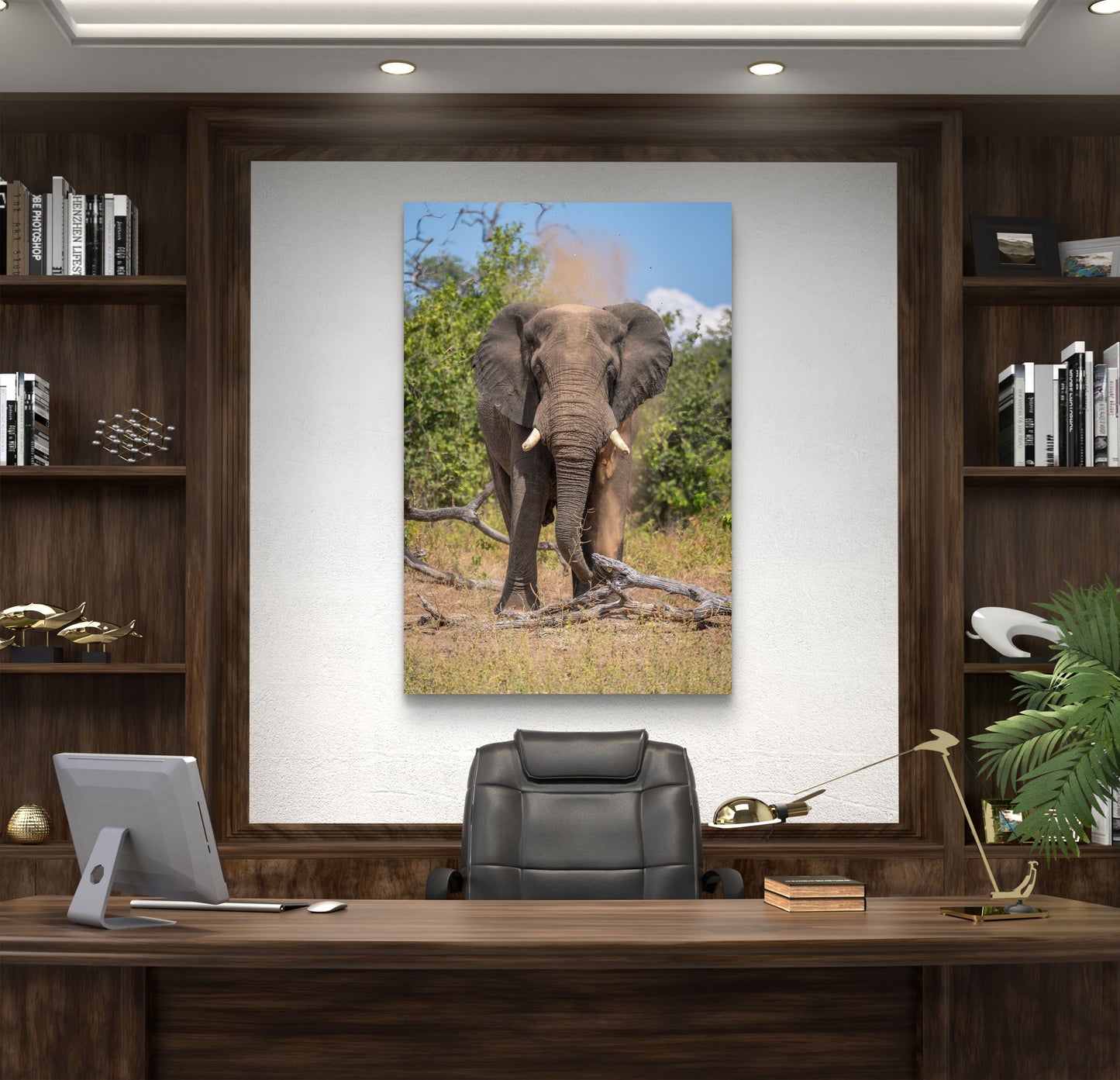 Elephant Fine Art Poster