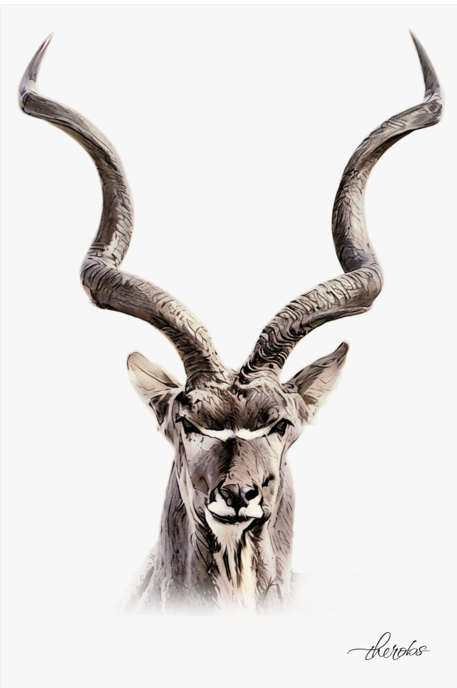 Kudu Fine Art Poster