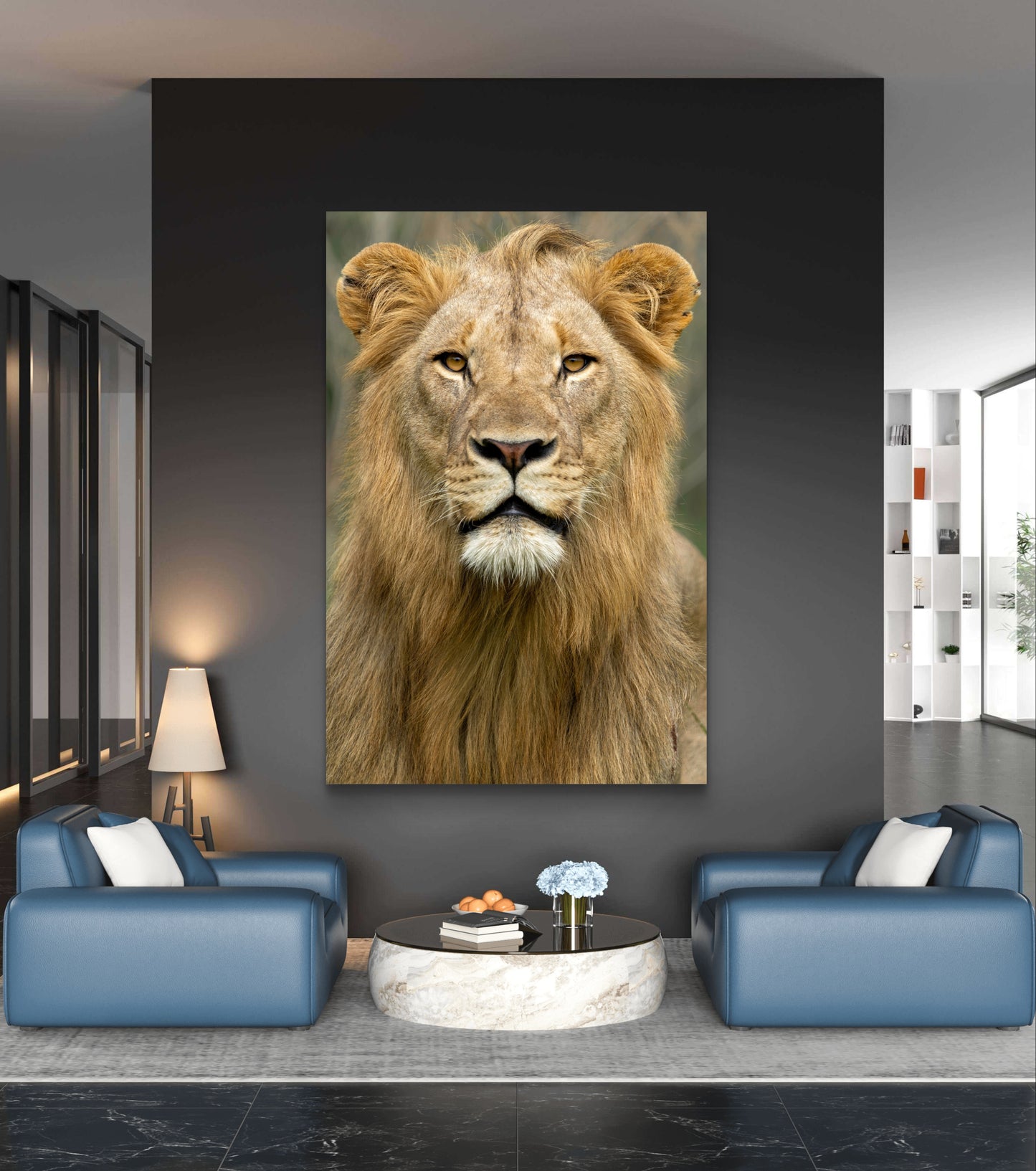 Male Lion Fine Art Poster