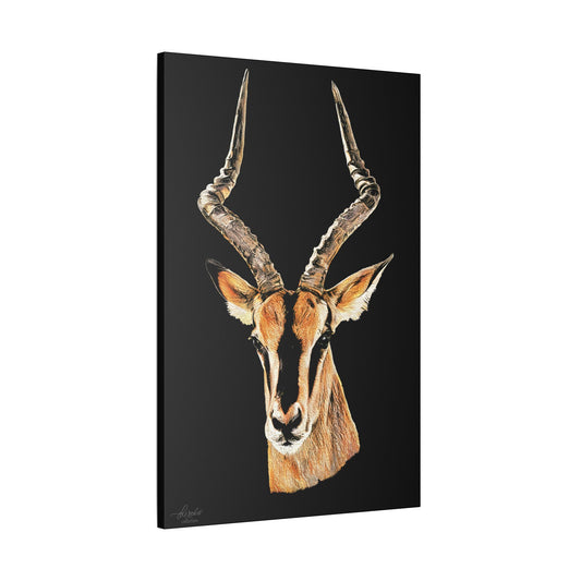 Impala Satin Stretched Black Canvas Print