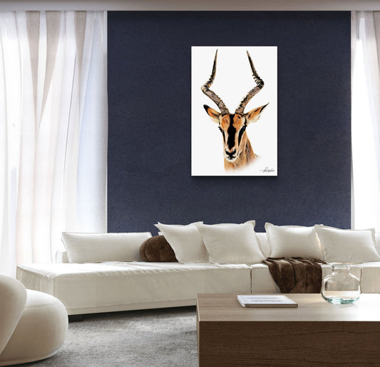Impala Canvas Print - HD Printing