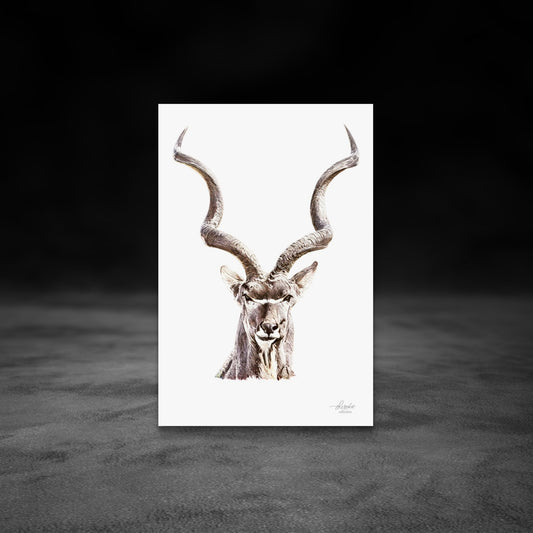 Kudu Fine Art Giclée Matte Poster - HD Printing