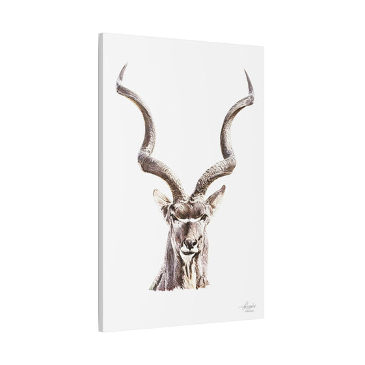 Kudu Satin Stretched Canvas Print - HD Printing