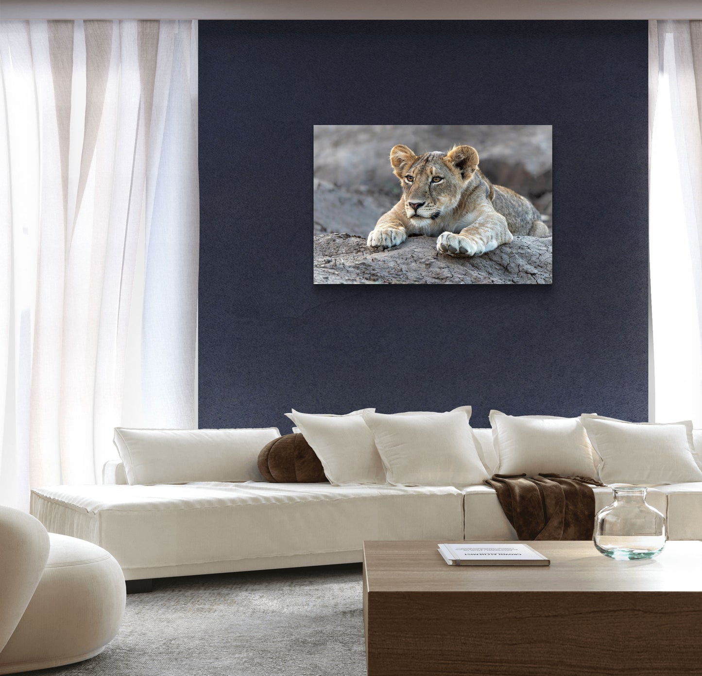 Lion Cub Silk Poster