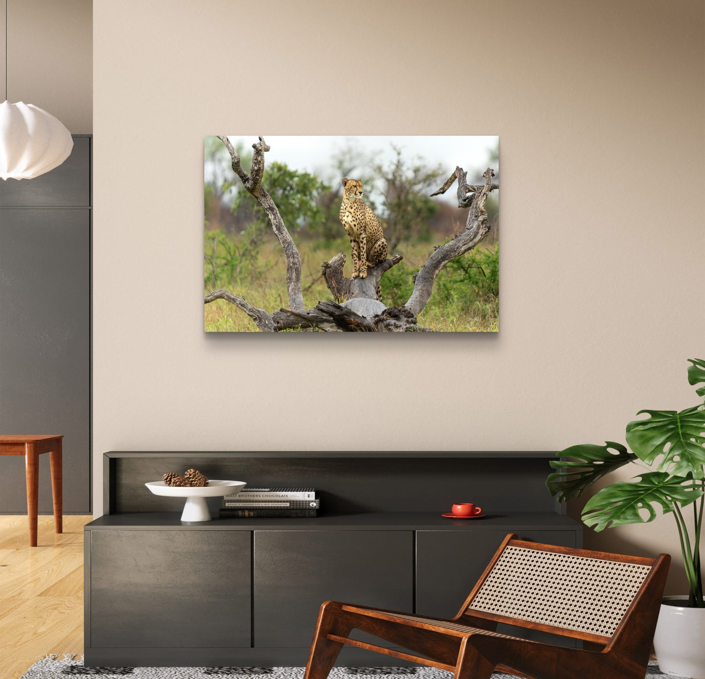 Cheetah Silk Poster
