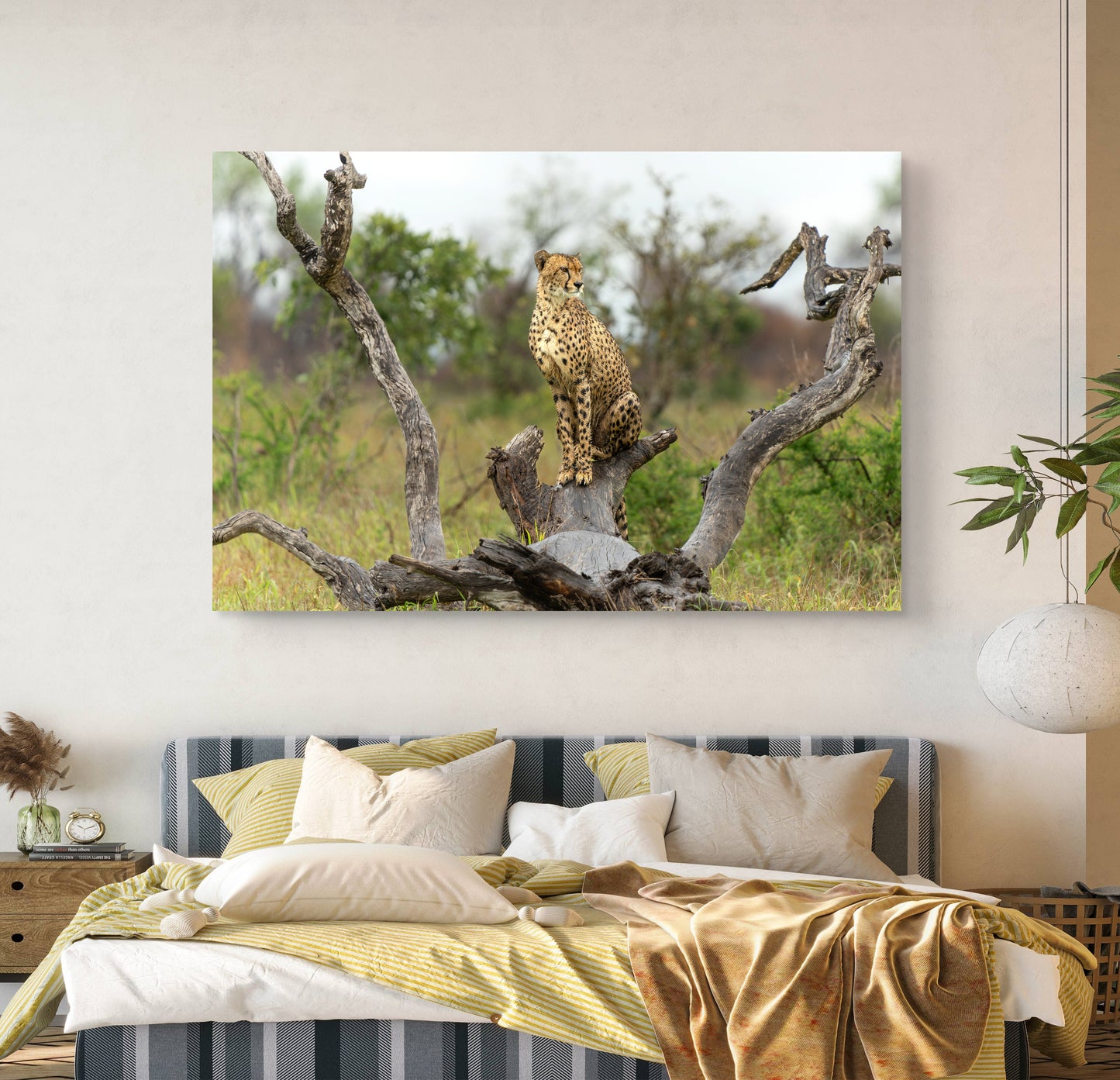 Cheetah Silk Poster