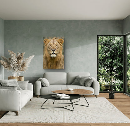 Male Lion Fine Art Poster