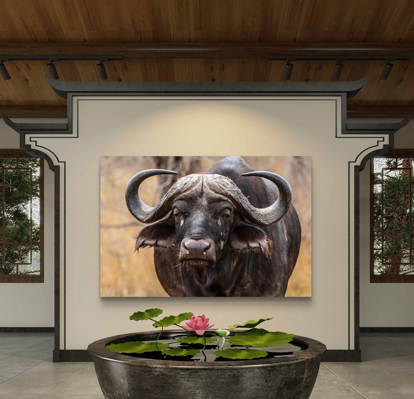 Buffalo Canvas Print