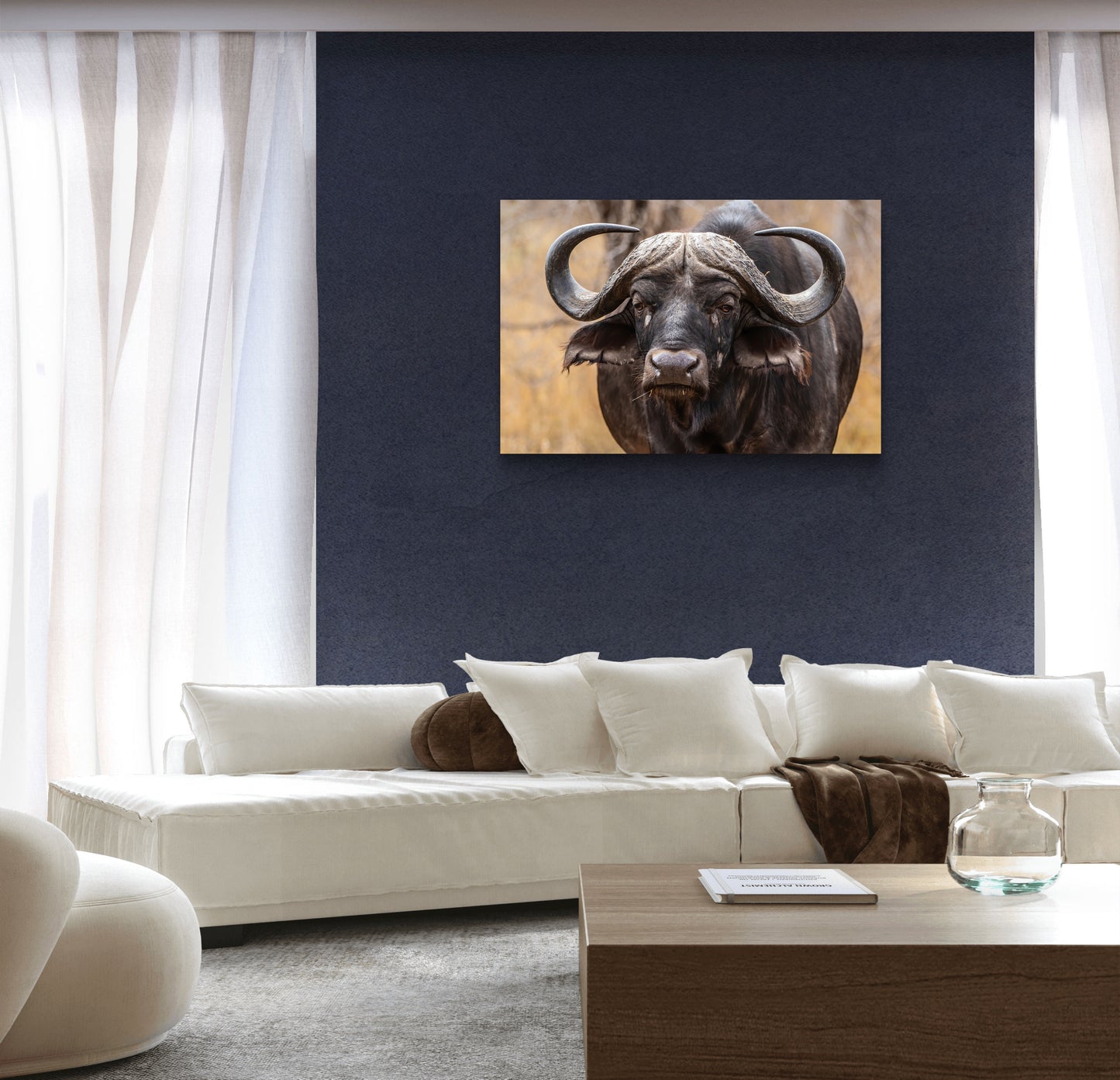 Buffalo Canvas Print