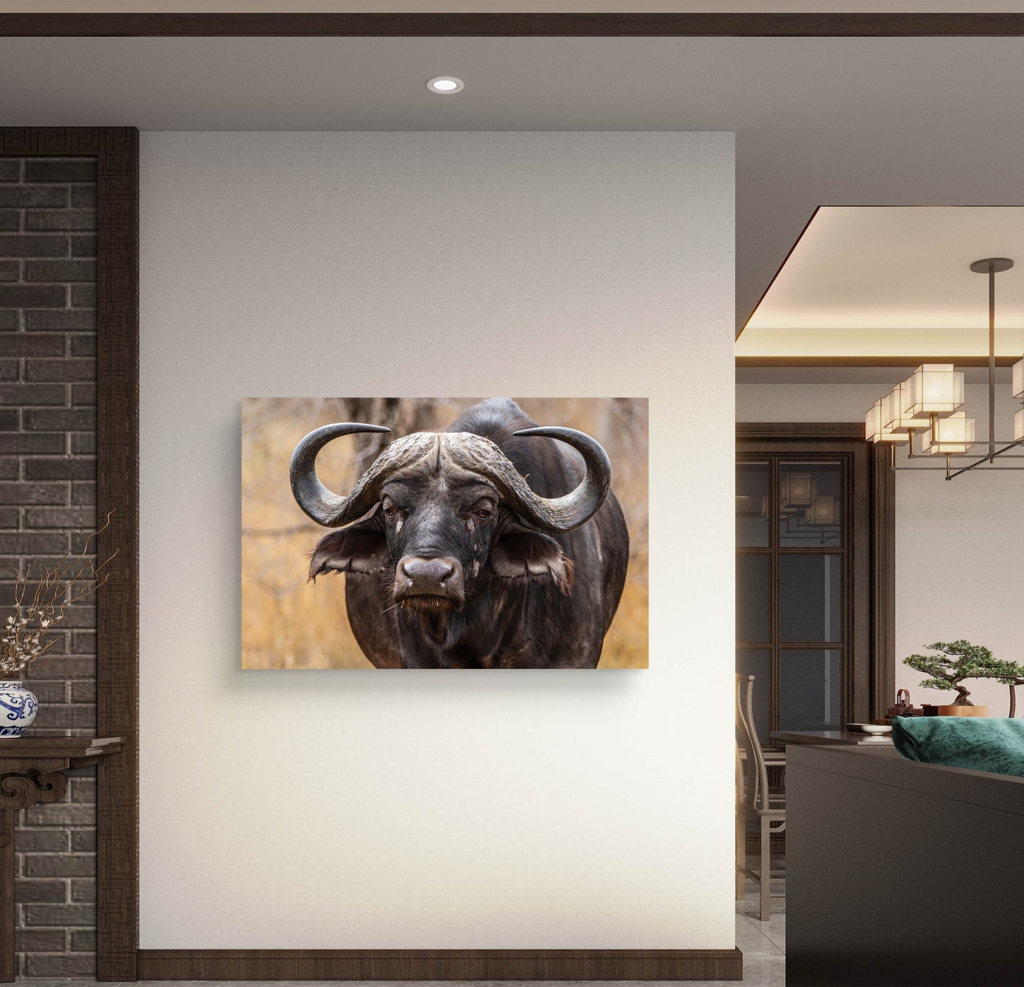 Buffalo Canvas Print