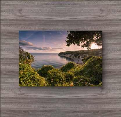 Beer Devon Canvas Print