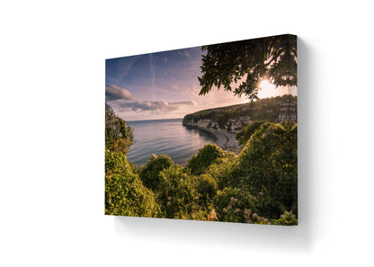 Beer Devon Canvas Print