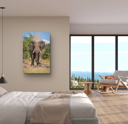 Elephant Fine Art Poster