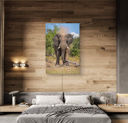 Elephant Fine Art Poster