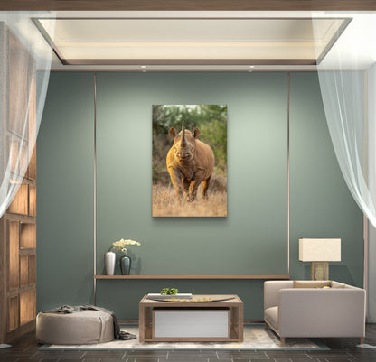 Rhino Fine Art Poster