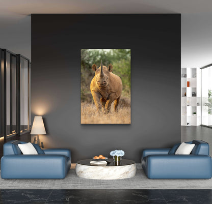 Rhino Fine Art Poster