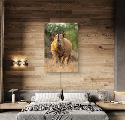 Rhino Fine Art Poster