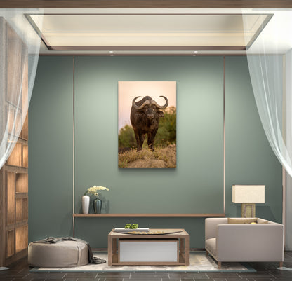 Cape Buffalo Fine Art Poster