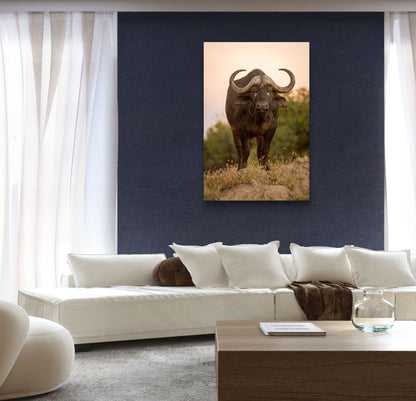Cape Buffalo Fine Art Poster