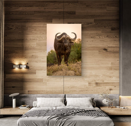 Cape Buffalo Fine Art Poster