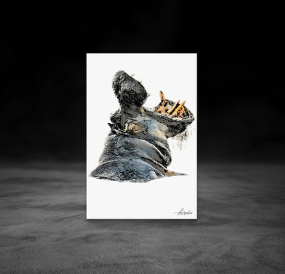Hippo Fine Art Poster