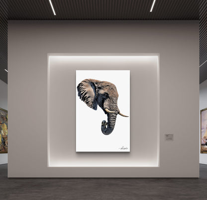 Elephant Fine Art Poster 2