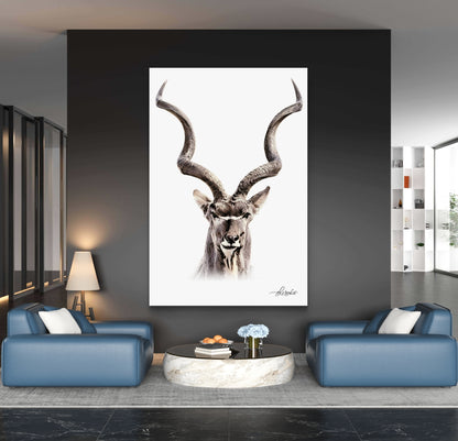 Kudu Fine Art Poster