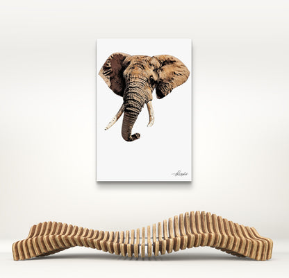 Elephant Fine Art Poster