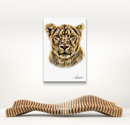 Lioness Canvas Print