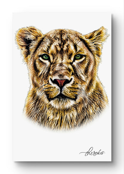 Lioness Canvas Print