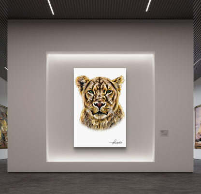 Lioness Canvas Print