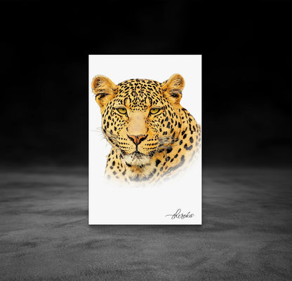 Leopard Canvas Print
