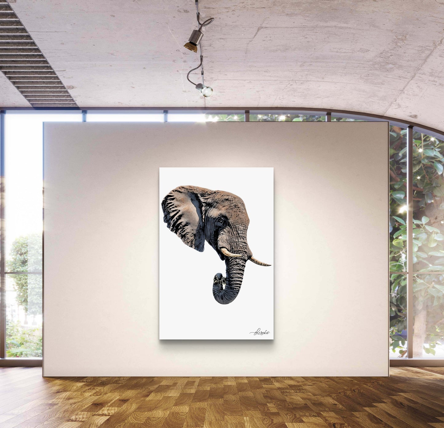 Elephant Canvas Print 2
