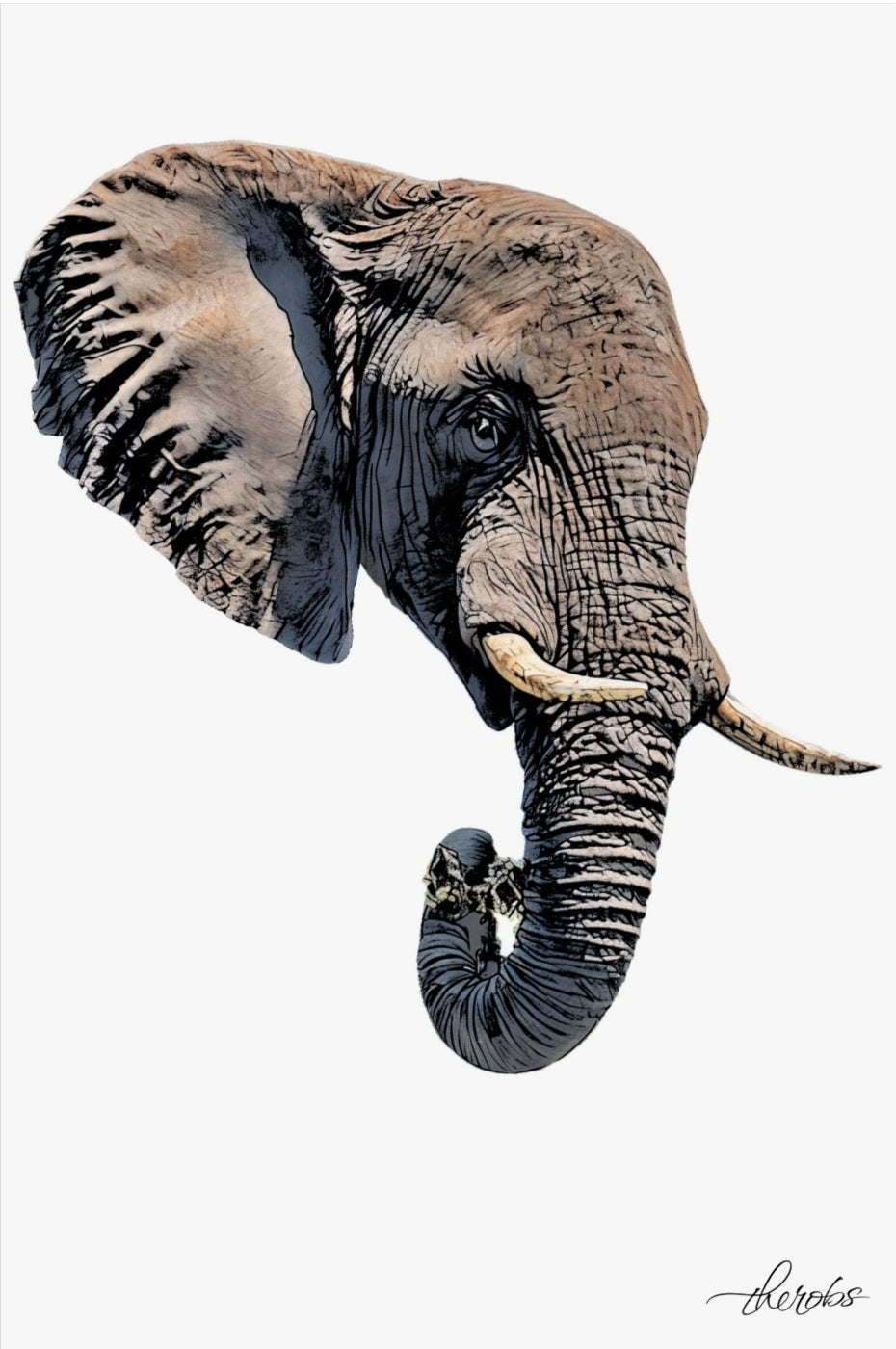 Elephant Canvas Print 2