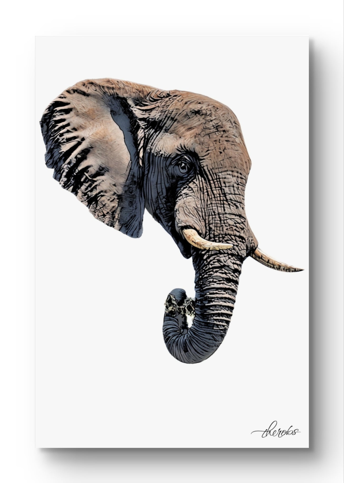 Elephant Canvas Print 2