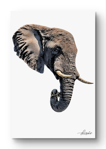 Elephant Canvas Print 2