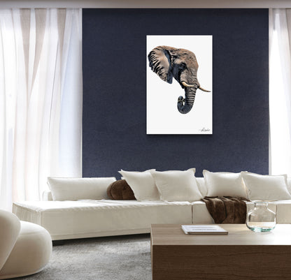Elephant Canvas Print 2