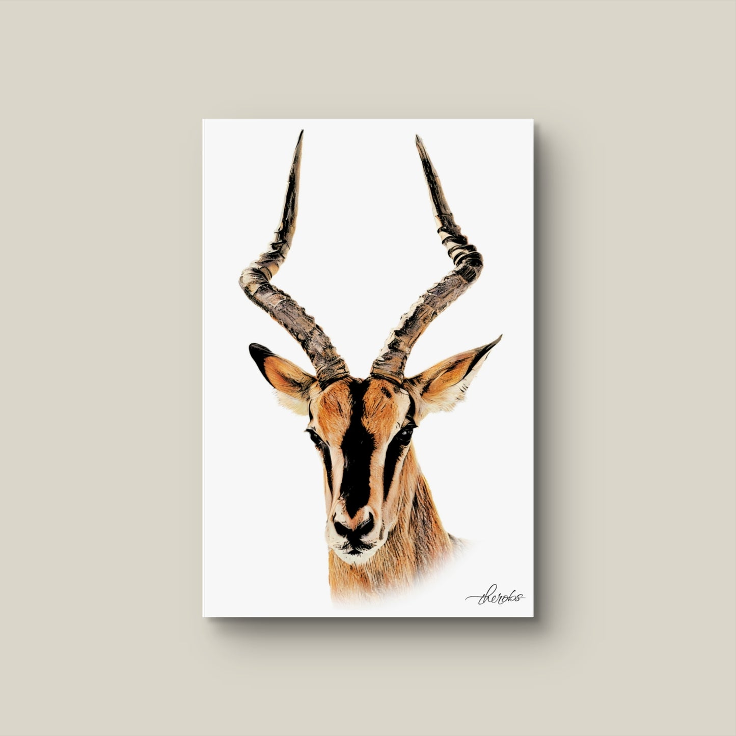 Impala Canvas Print