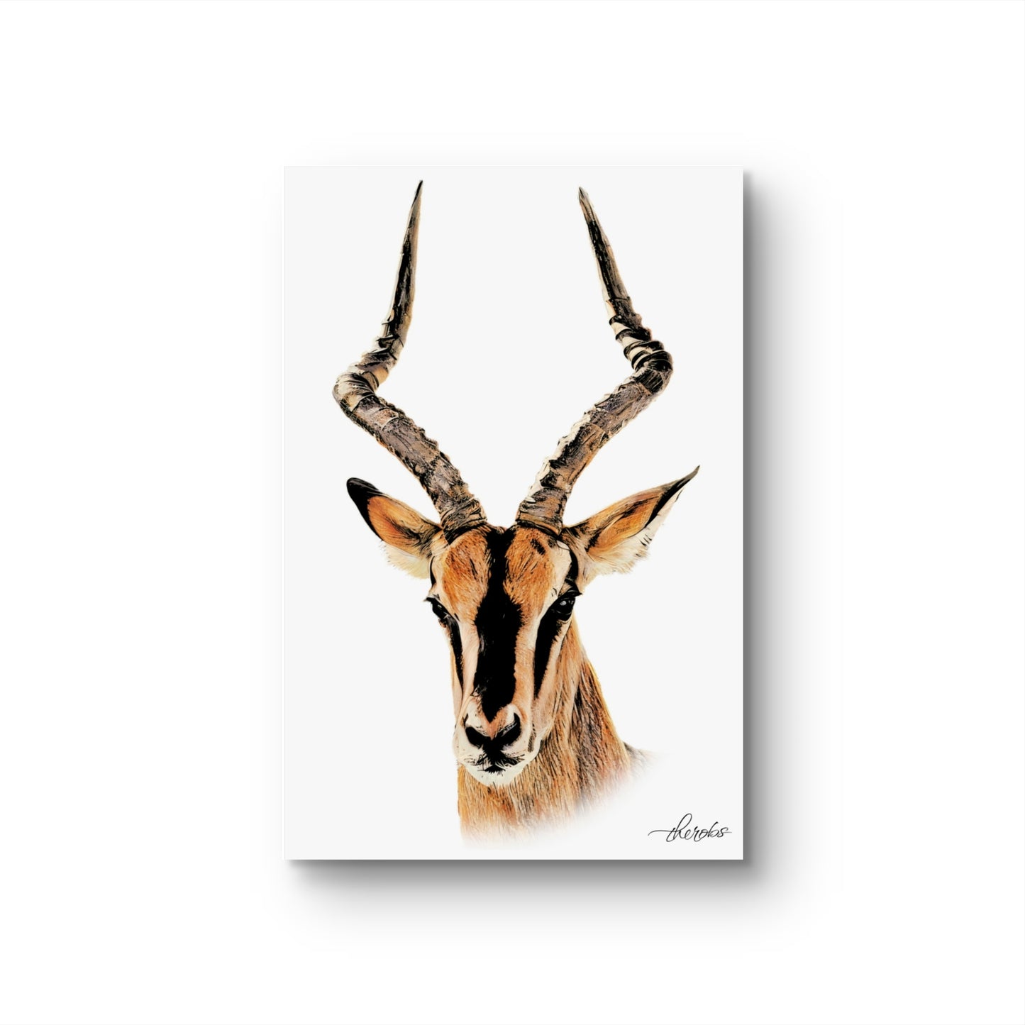 Impala Canvas Print