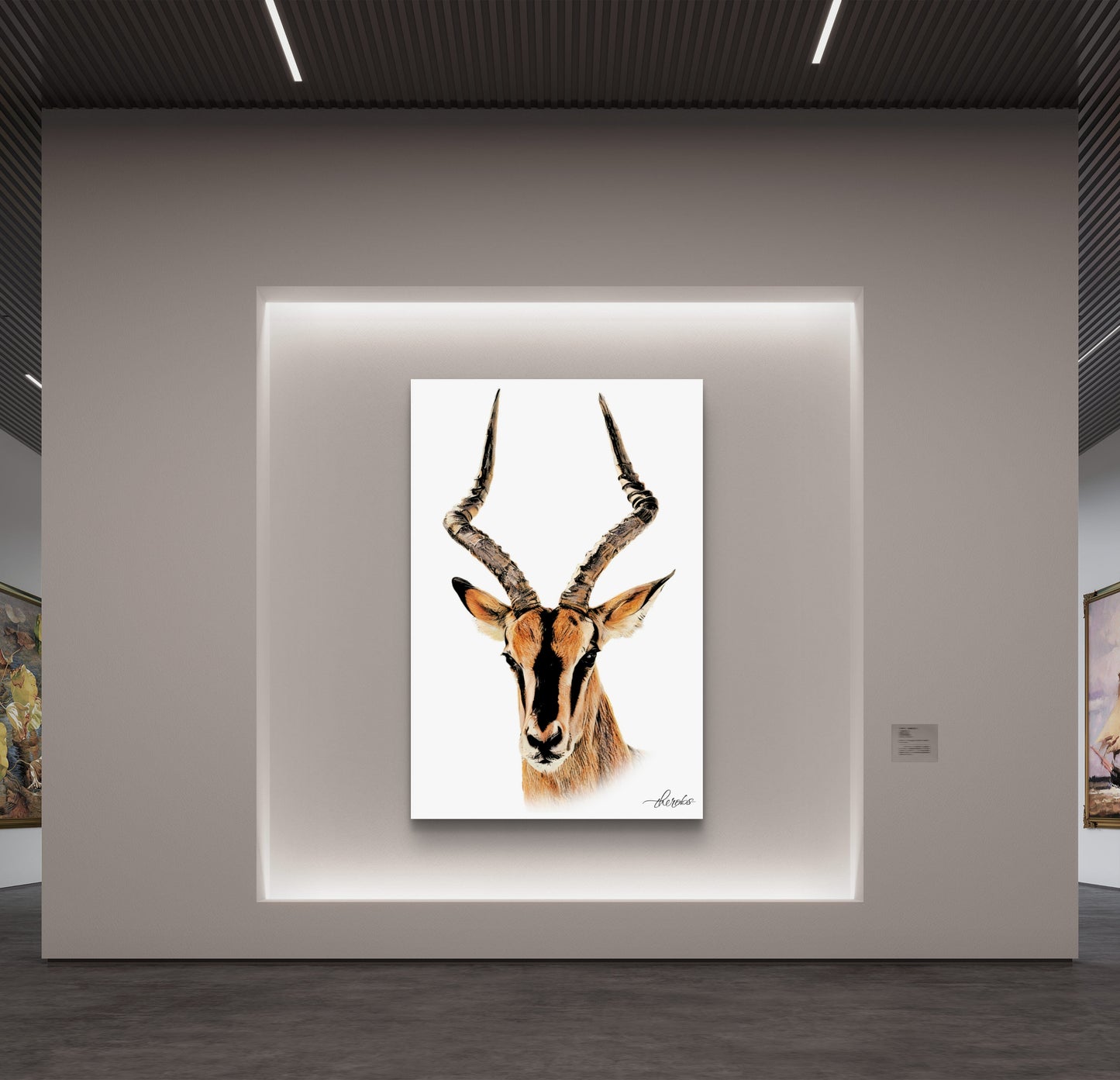 Impala Canvas Print