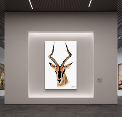 Impala Canvas Print