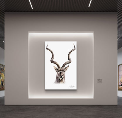 Kudu Canvas Print