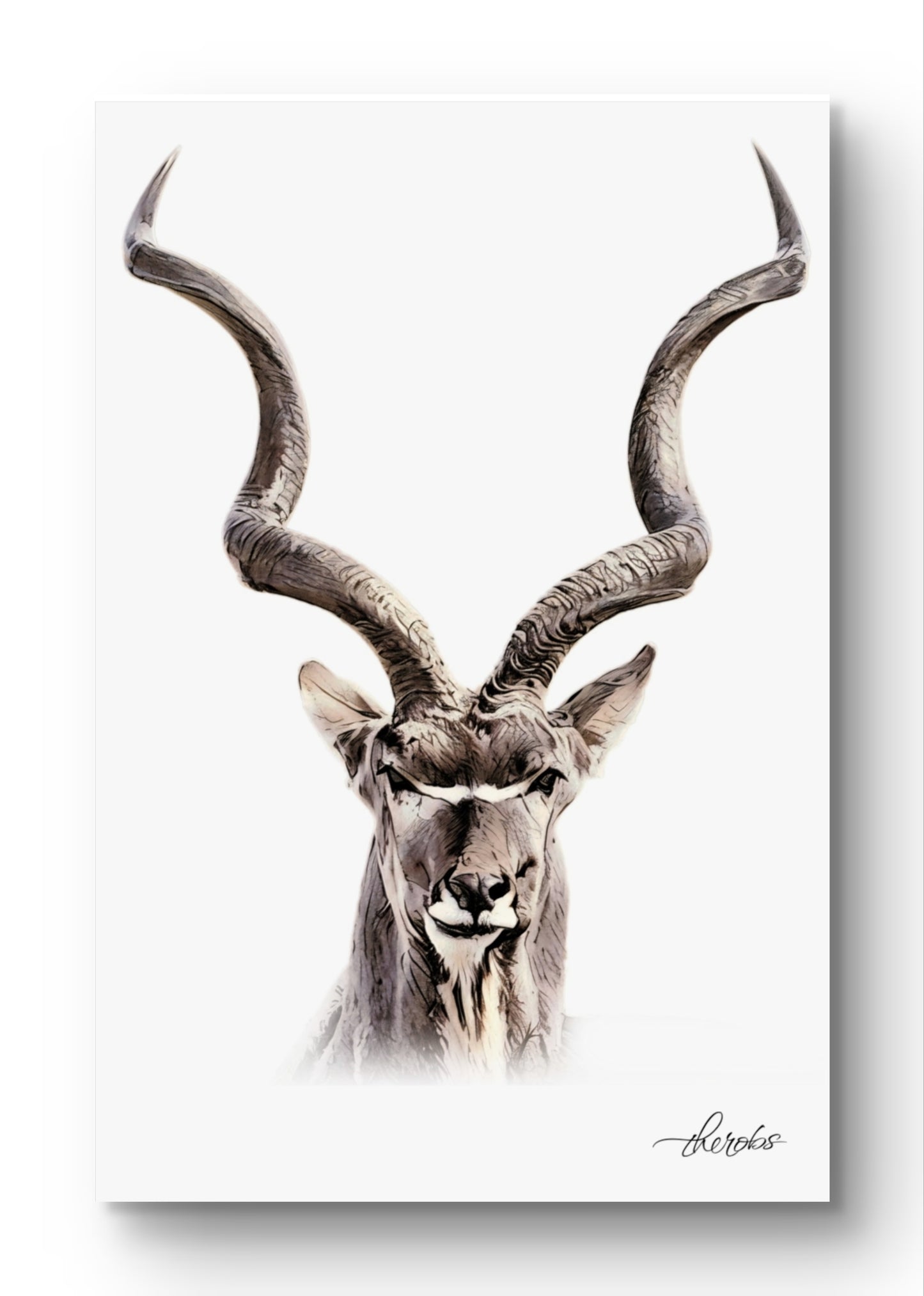 Kudu Canvas Print