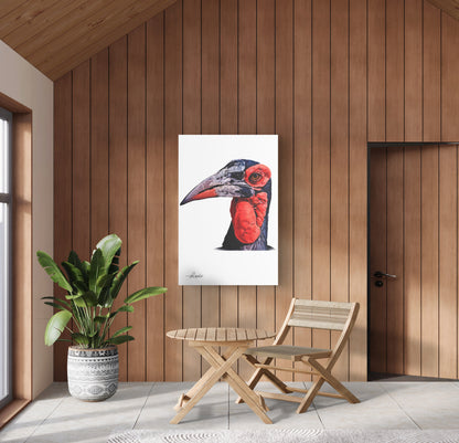 Hornbill Canvas Print