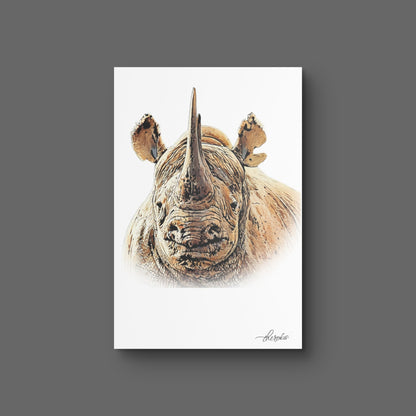 Rhino Canvas Print 2
