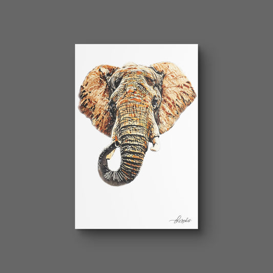 Elephant Fine Art Poster 3