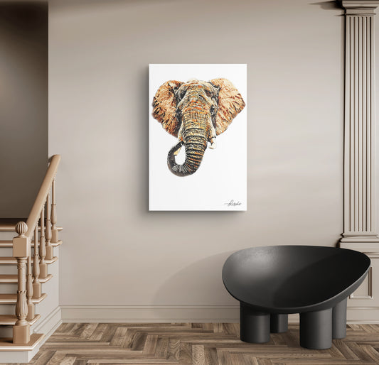 Elephant Fine Art Poster 3