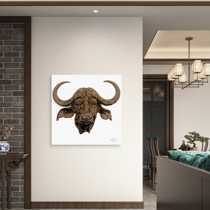 Cape Buffalo Fine Art Giclée Matte Poster